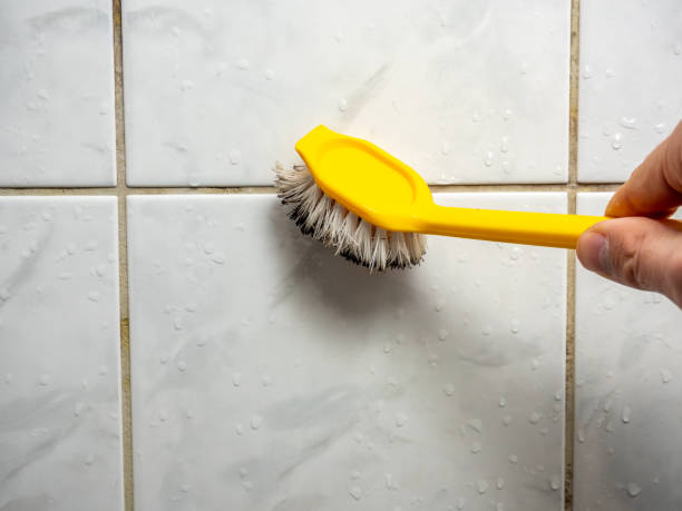 Best Residential Mold Remediation in Paloma Creek, TX