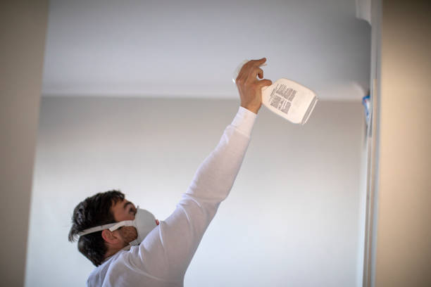 Best Commercial Mold Remediation in Paloma Creek, TX