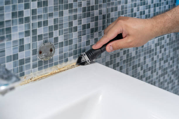 Best Post-Flood Mold Remediation in Paloma Creek, TX